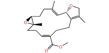 Lobophynin C